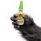 Super colle en gel de Gorilla